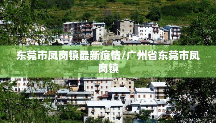 东莞市凤岗镇最新疫情/广州省东莞市凤岗镇 东莞市凤岗镇最新疫情/广州省东莞市凤岗镇