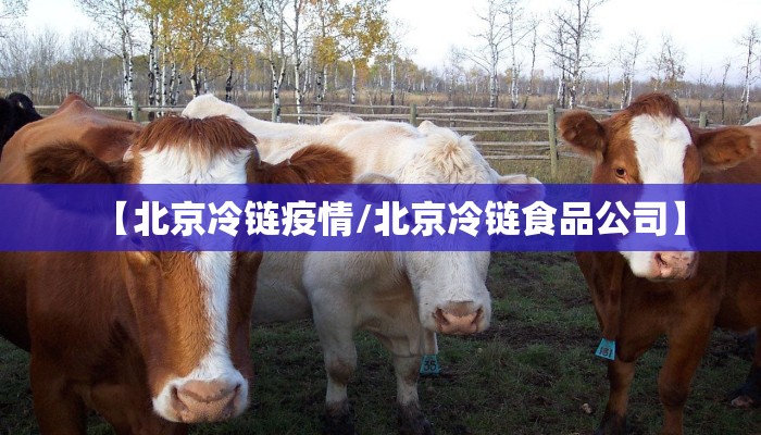 【北京冷链疫情/北京冷链食品公司】