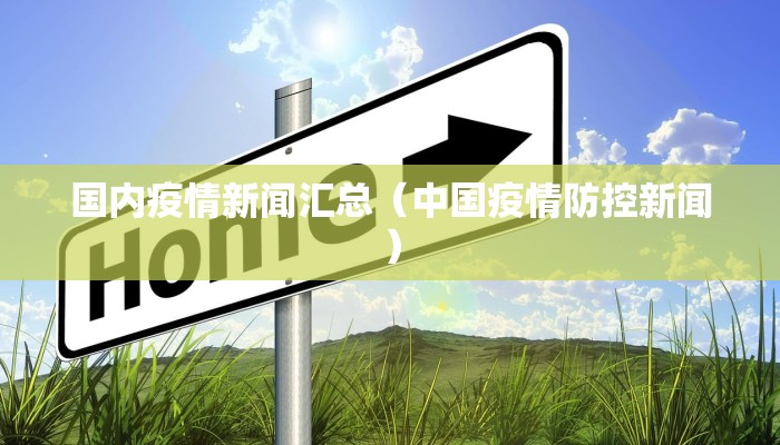 国内疫情新闻汇总(中国疫情防控新闻) 国内疫情新闻汇总(中国疫情防控新闻)