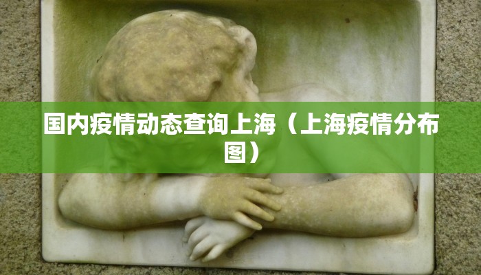 国内疫情动态查询上海(上海疫情分布图) 国内疫情动态查询上海(上海疫情分布图)