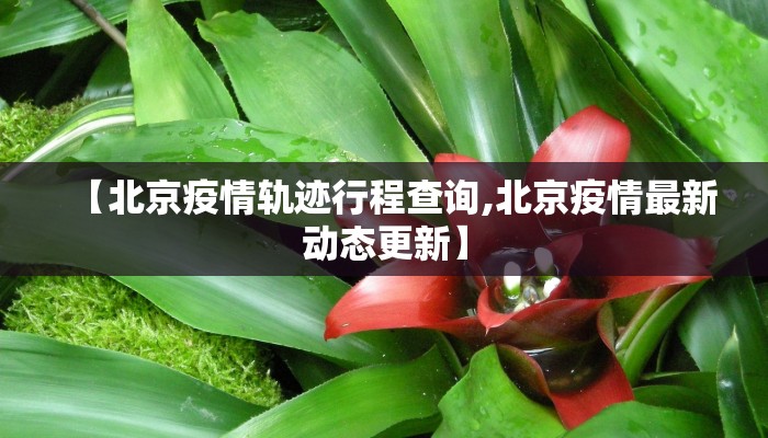【北京疫情轨迹行程查询,北京疫情最新动态更新】 【北京疫情轨迹行程查询,北京疫情最新动态更新】
