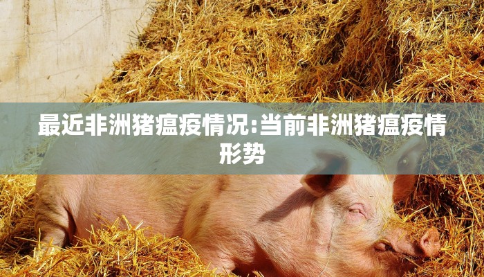 最近非洲猪瘟疫情况:当前非洲猪瘟疫情形势 最近非洲猪瘟疫情况:当前非洲猪瘟疫情形势