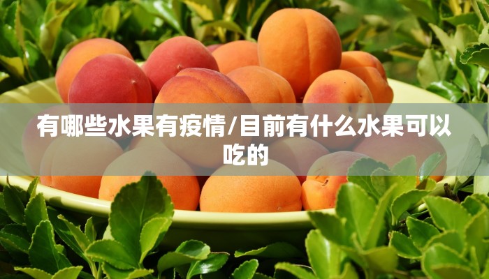 有哪些水果有疫情/目前有什么水果可以吃的 有哪些水果有疫情/目前有什么水果可以吃的